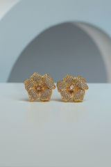 Earings - D3 - Gold - Champagne