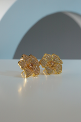 Earings - D3 - Gold - Champagne