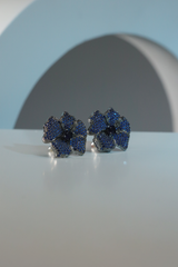 Earings - D3 - Silver - Blue